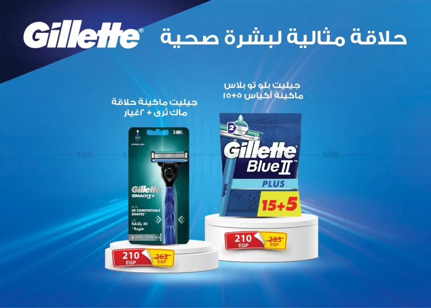 صفحة رقم 41 من December Offers في فتح الله