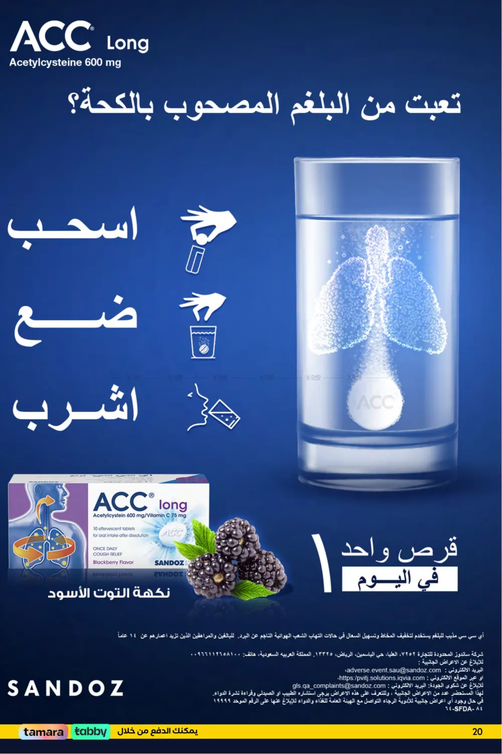 صفحة رقم 21 من عيدك مع وايتس في وايتس