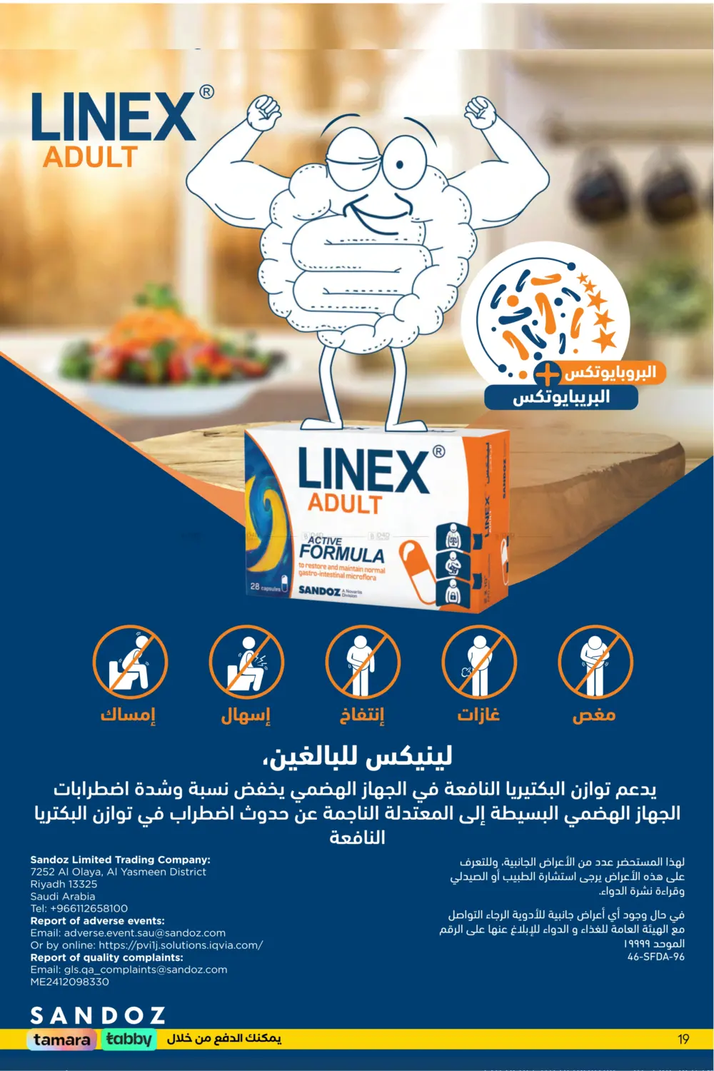 صفحة رقم 22 من عيدك مع وايتس في وايتس
