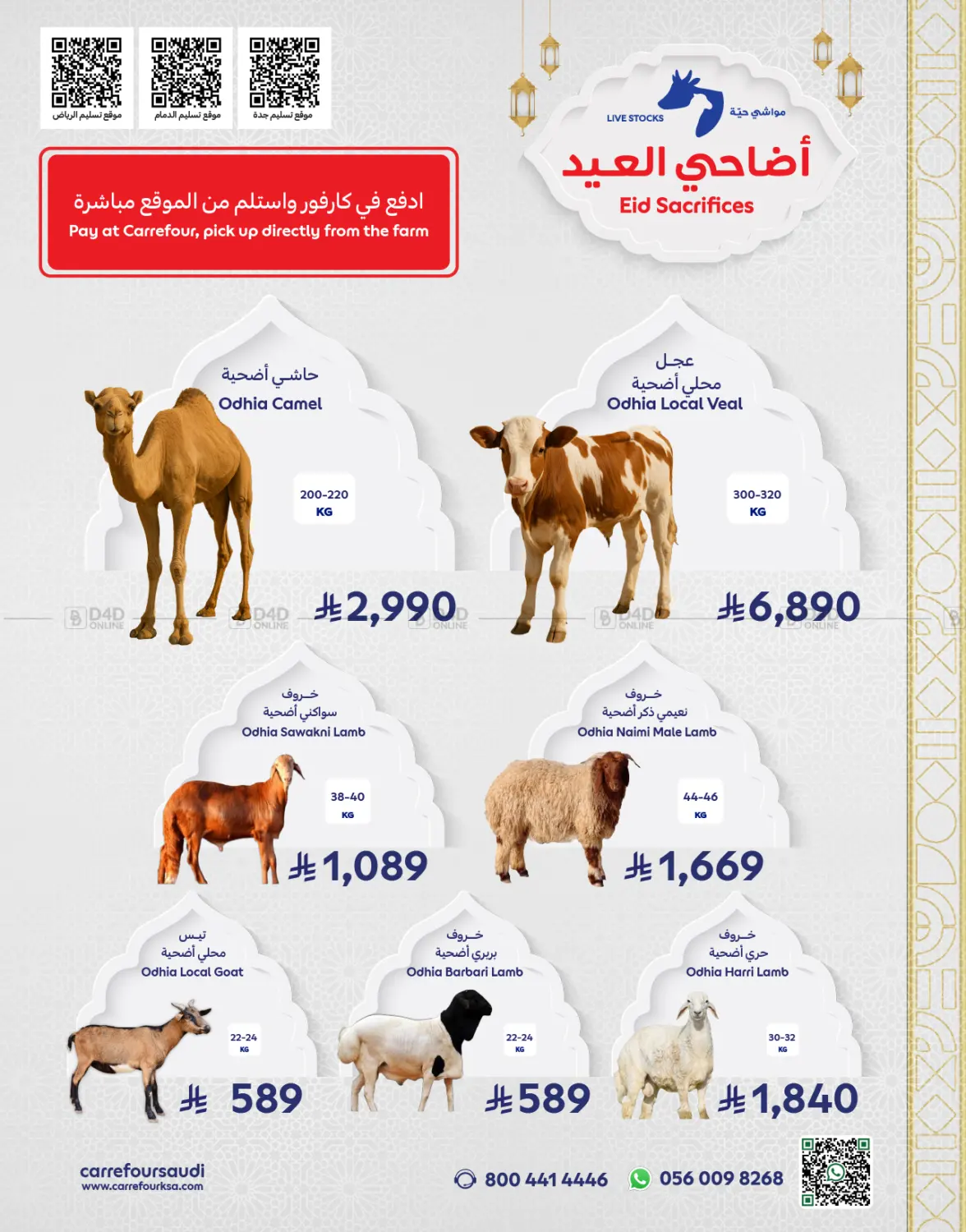 صفحة رقم 1 من أضاحي العيد في كارفور