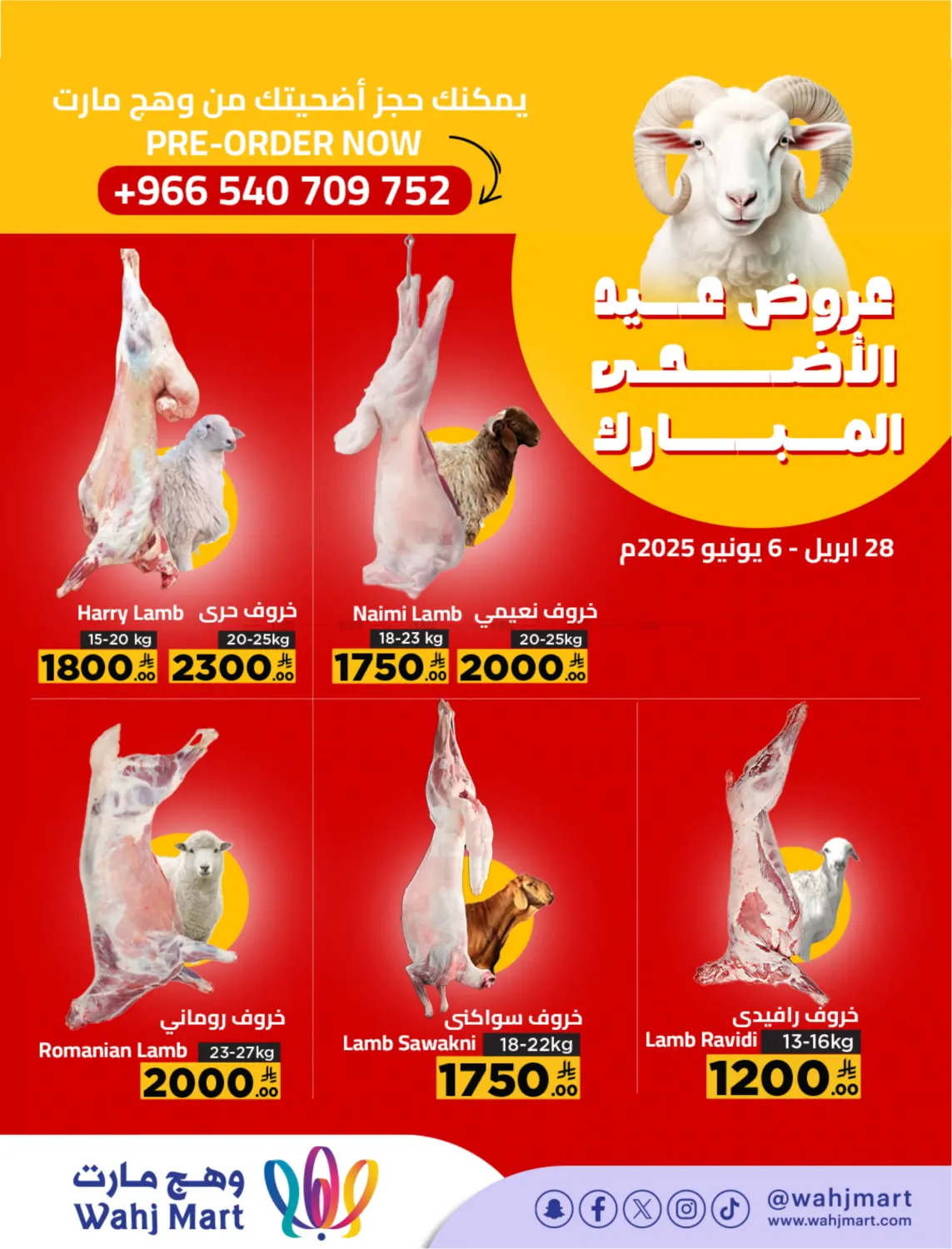 صفحة رقم 7 من عروض ما تتوقف! في وهج مارت