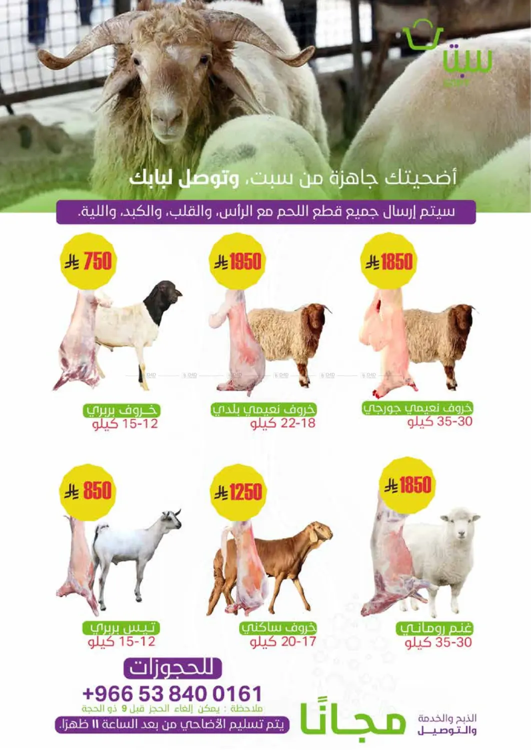 صفحة رقم 3 من مهرجان العيد الكبير في سبت