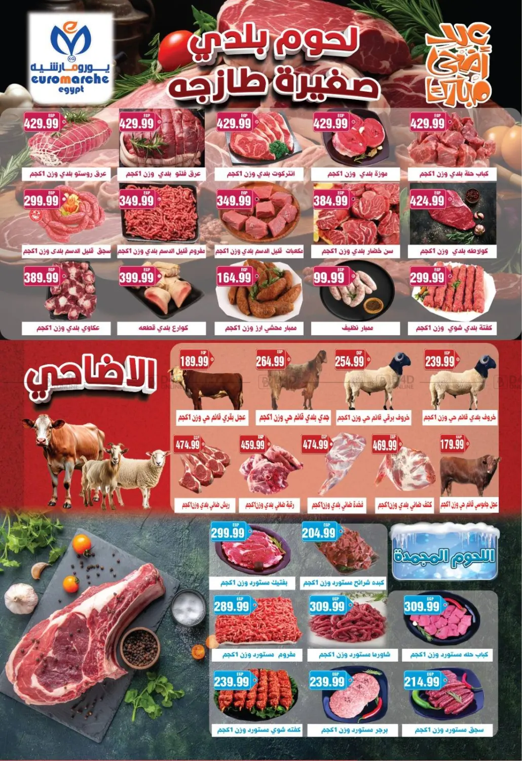 صفحة رقم 2 من عيد أضحى مبارك في يورومارشيه