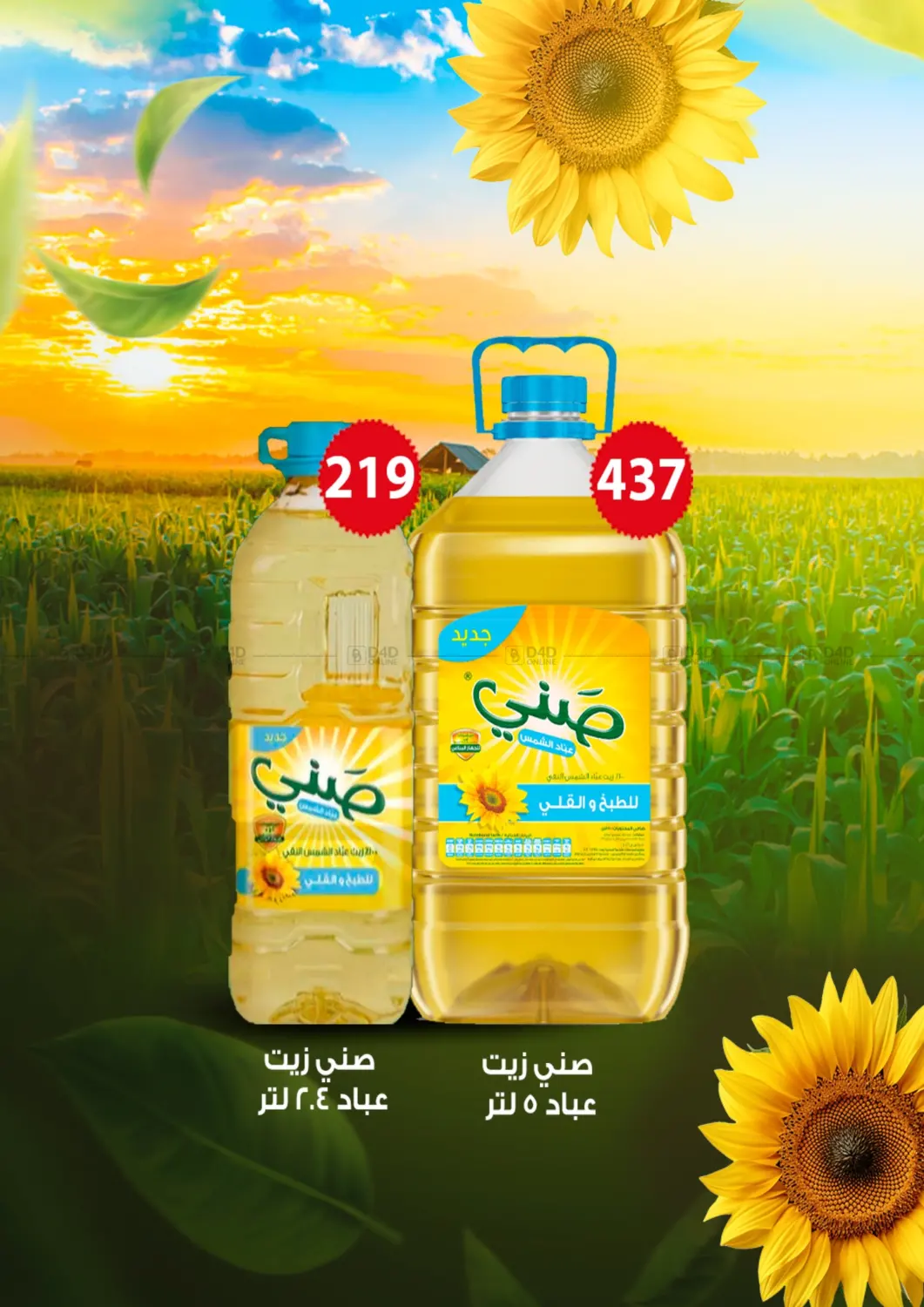 صفحة رقم 11 من Special Offer في فتح الله
