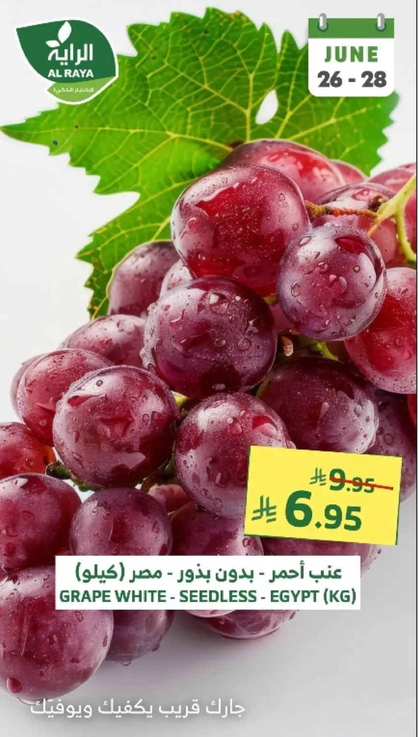 صفحة رقم 15 من عروض نهاية الأسبوع في الراية
