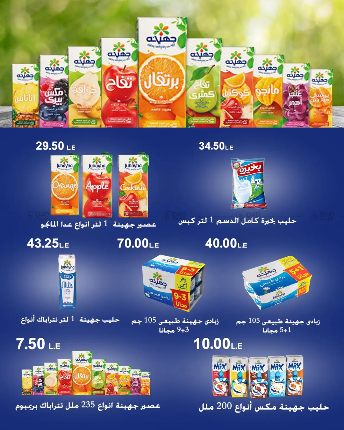 صفحة رقم 36 من Special Offer في عرفة ماركت