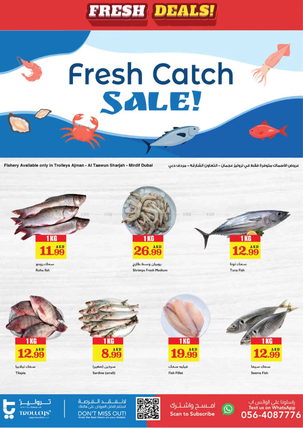صفحة رقم 3 من Fresh Deals في تروليز سوبرماركت