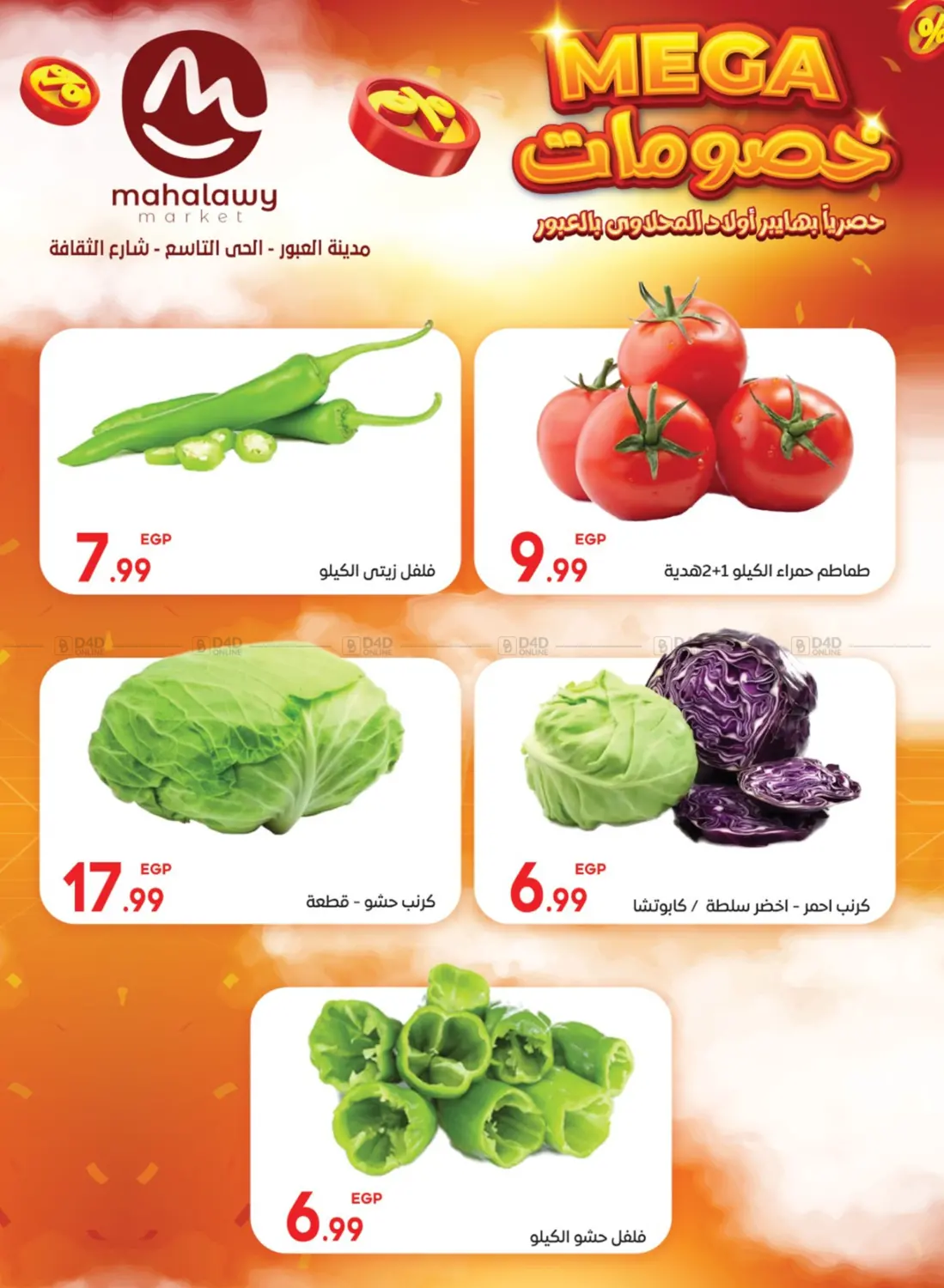صفحة رقم 6 من Mega في أولاد المحاوى