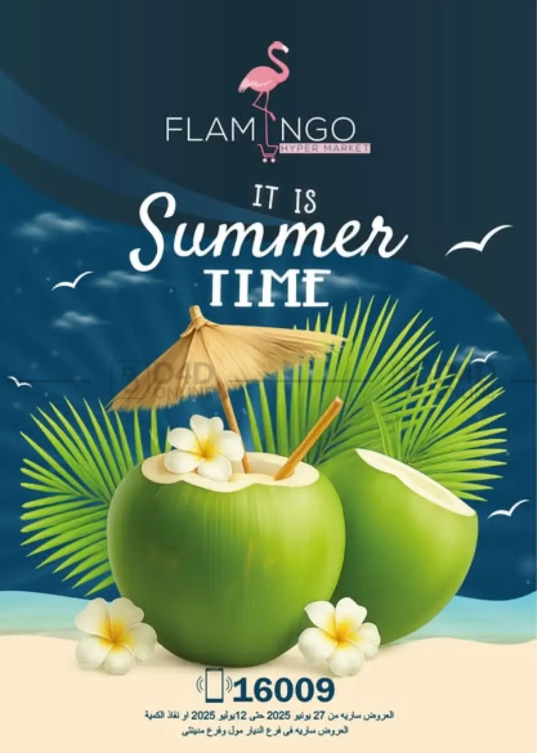 صفحة رقم 1 من It is Summer Time في فلامنجو هايبرماركت