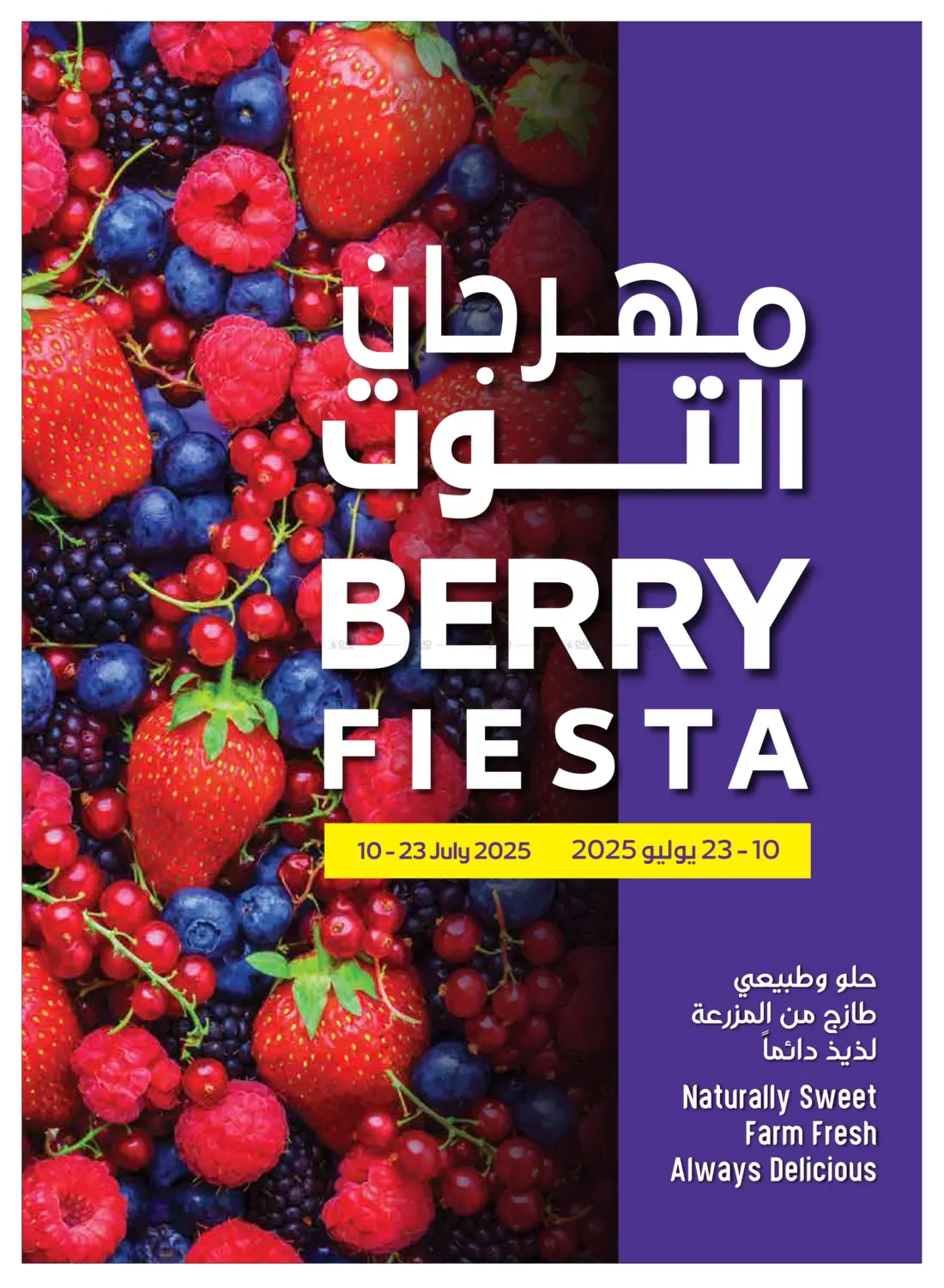 صفحة رقم 2 من Clearance Sale في ميغا مارت سوبر ماركت