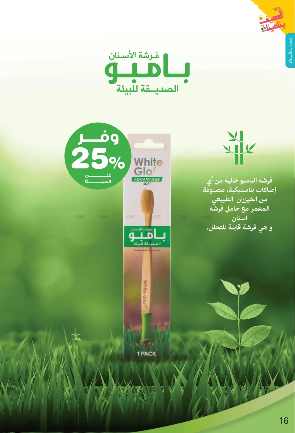 صفحة رقم 16 من Summer is Calling Us في صيدليات انوفا