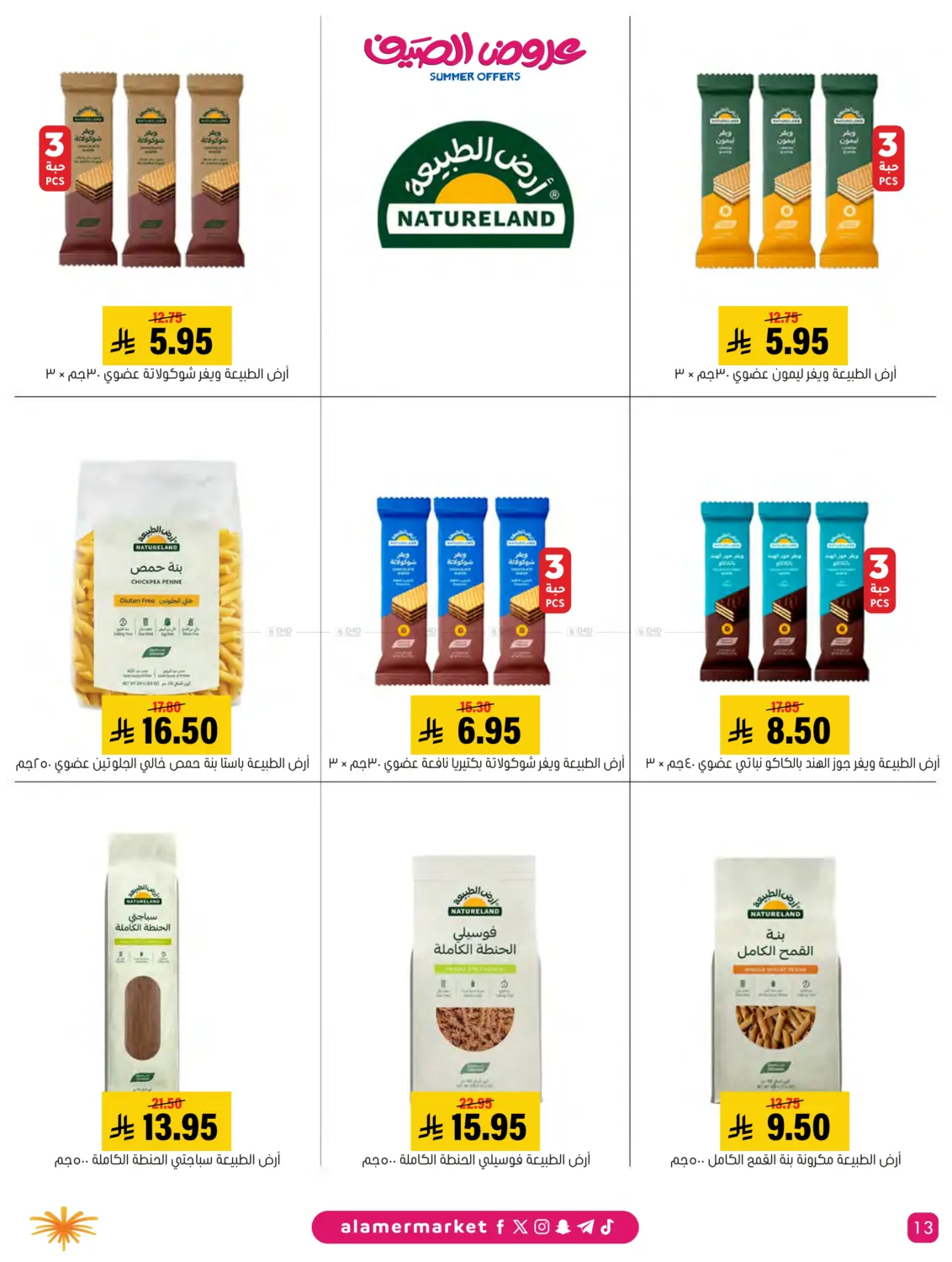 صفحة رقم 13 من Special Offer في العامر للتسوق