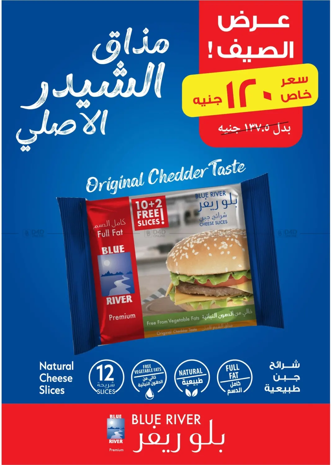 صفحة رقم 14 من Special offer في رويال هاوس