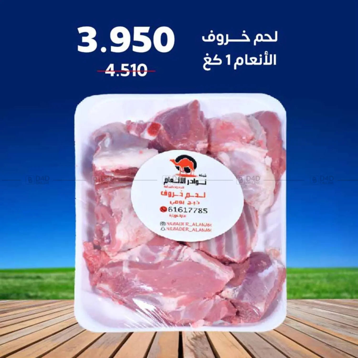 صفحة رقم 24 من Special offer في جمعية اشبيلية التعاونية
