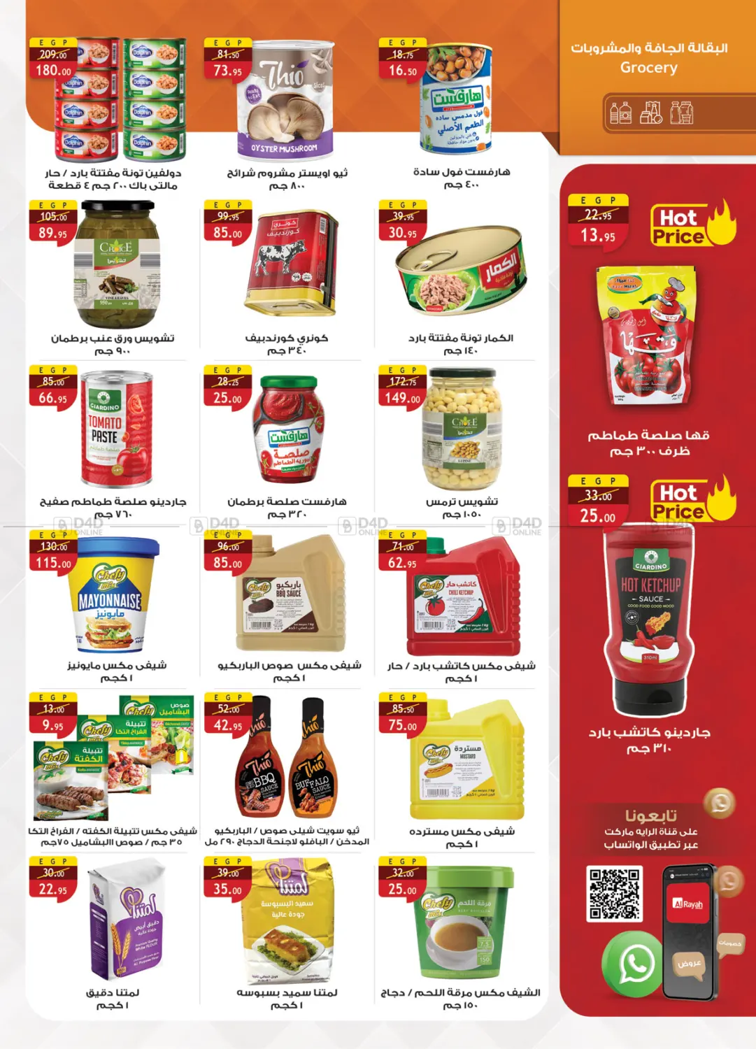 صفحة رقم 22 من Special offer في الرايه ماركت