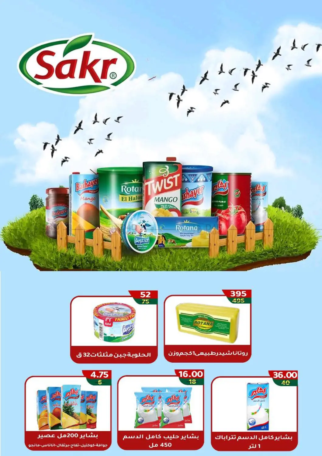 صفحة رقم 14 من Special offer في وكالة المنصورة - الدقهلية‎