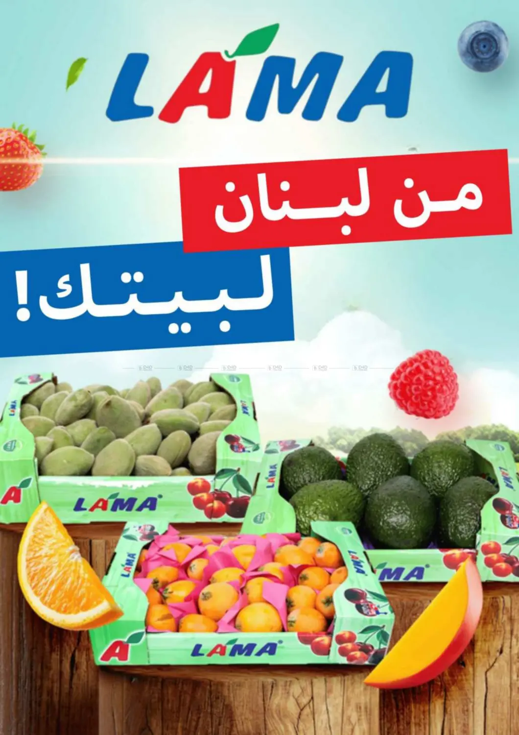 صفحة رقم 16 من العودة للمدارس في توصيل