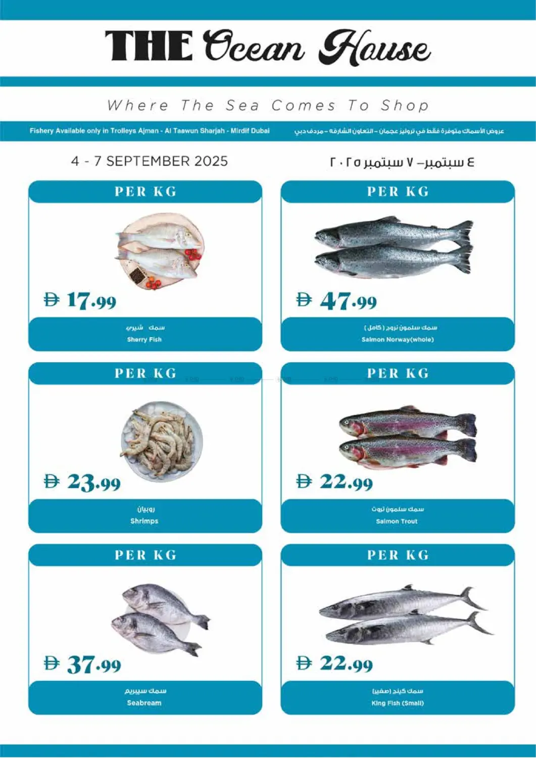 صفحة رقم 21 من Deal Of The Week في تروليز سوبرماركت