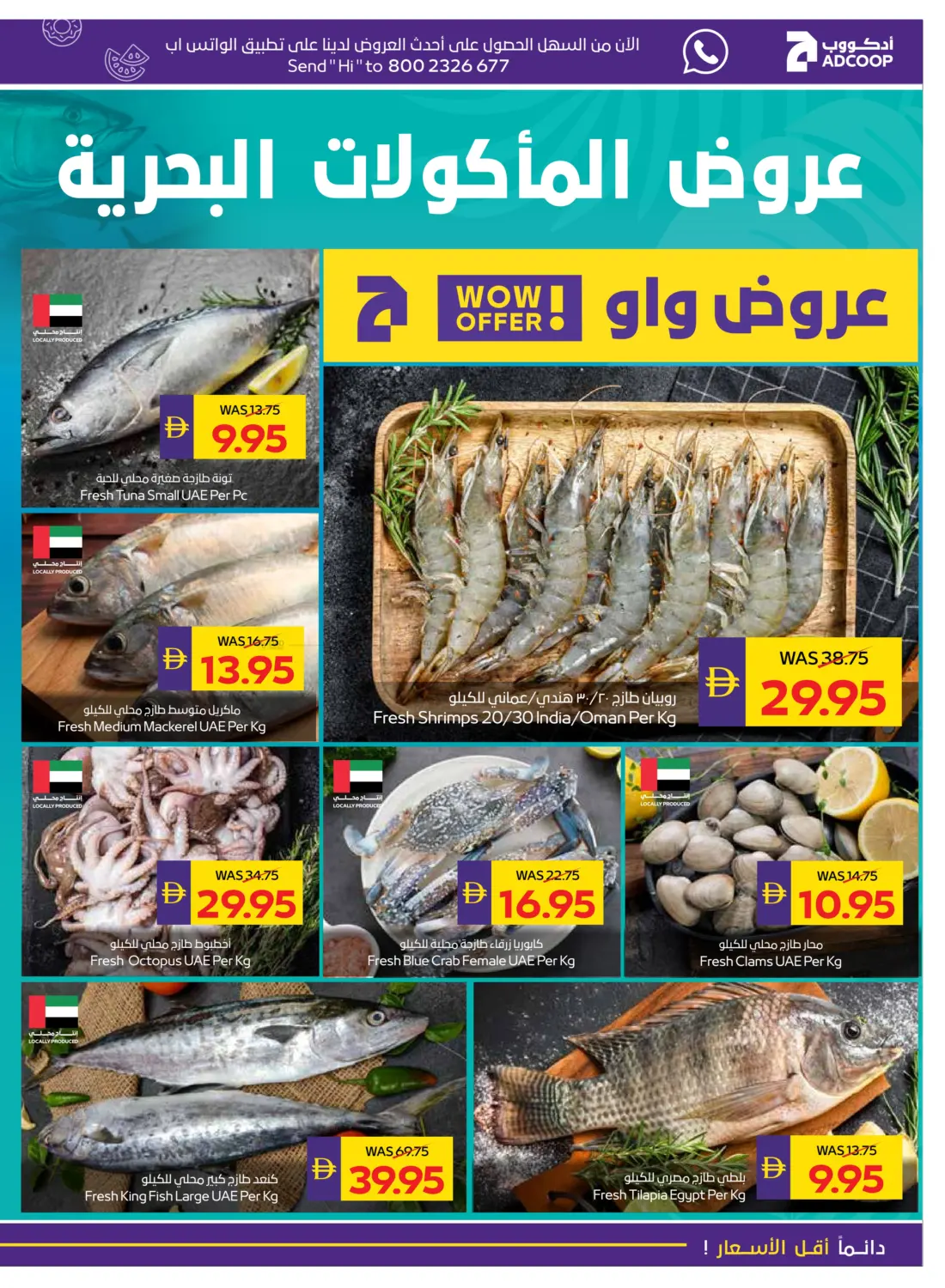 صفحة رقم 5 من صفقات مدهشة في ميغا مارت سوبر ماركت