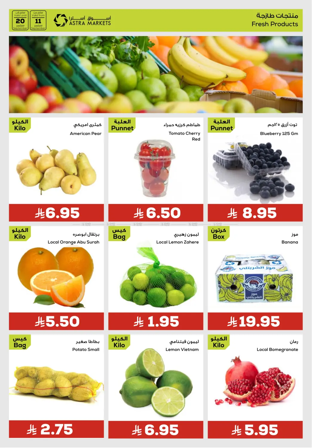 صفحة رقم 14 من We've Got Everything You Need في أسواق أسترا