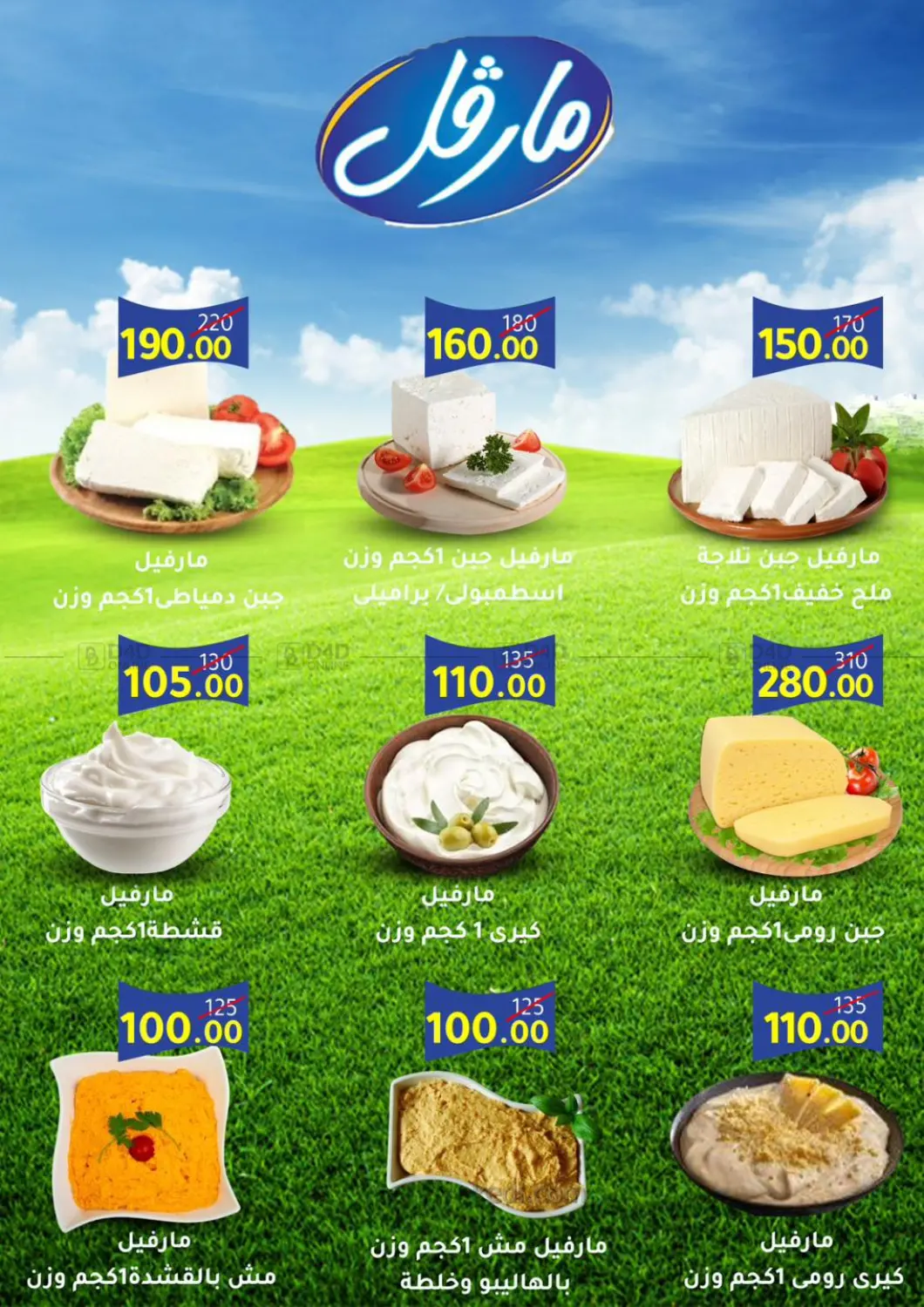 صفحة رقم 3 من Special Offer في وكالة المنصورة - الدقهلية
