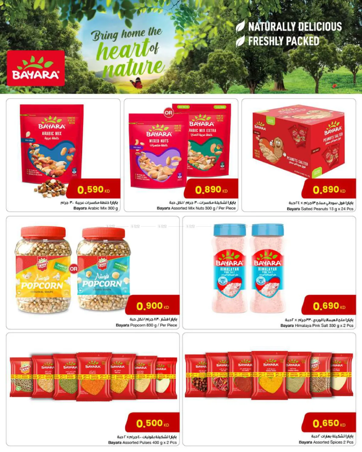 صفحة رقم 3 من Special Offer في مركز سلطان