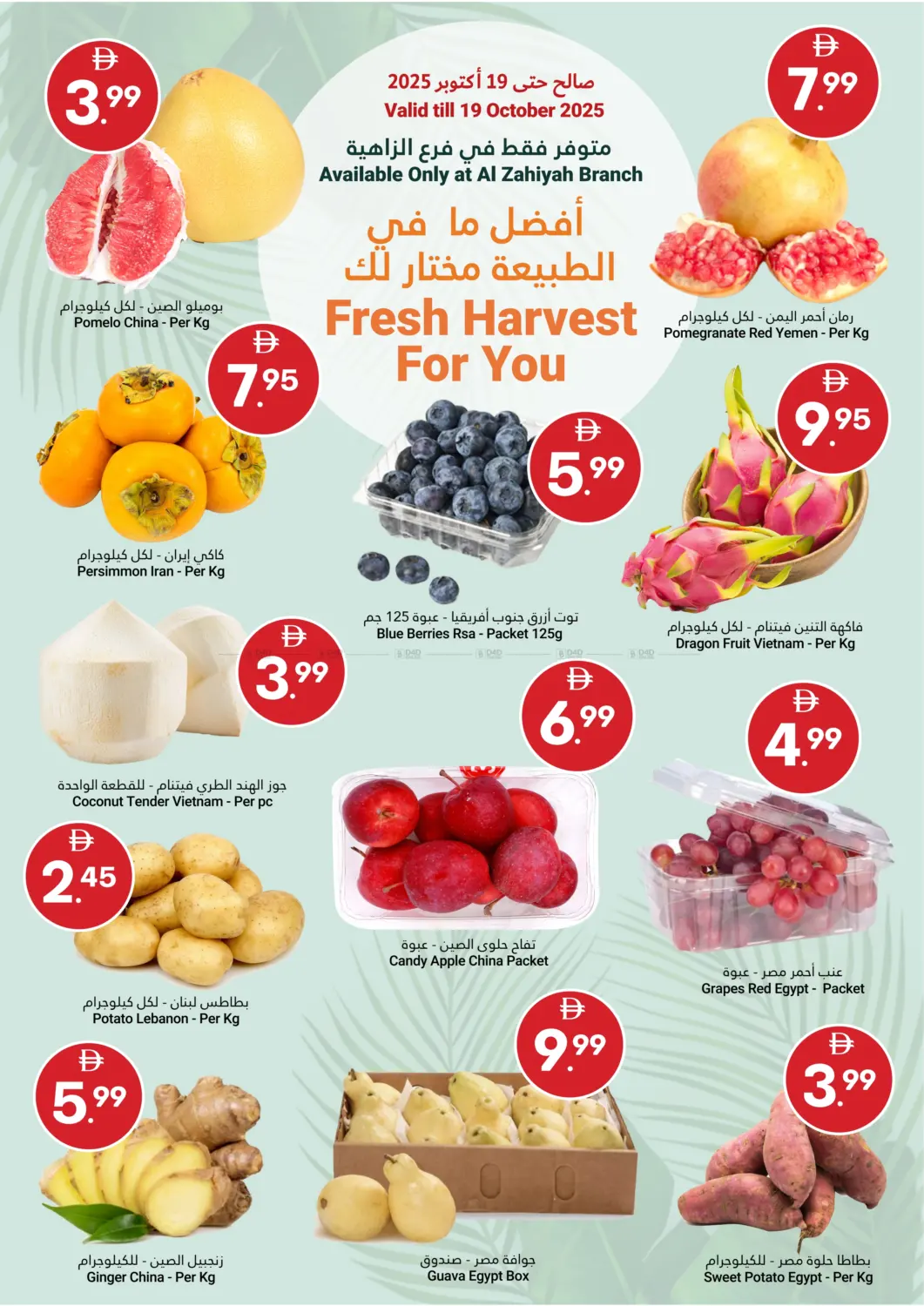 صفحة رقم 2 من Grand Savings في جراند الإمارات للتسوق