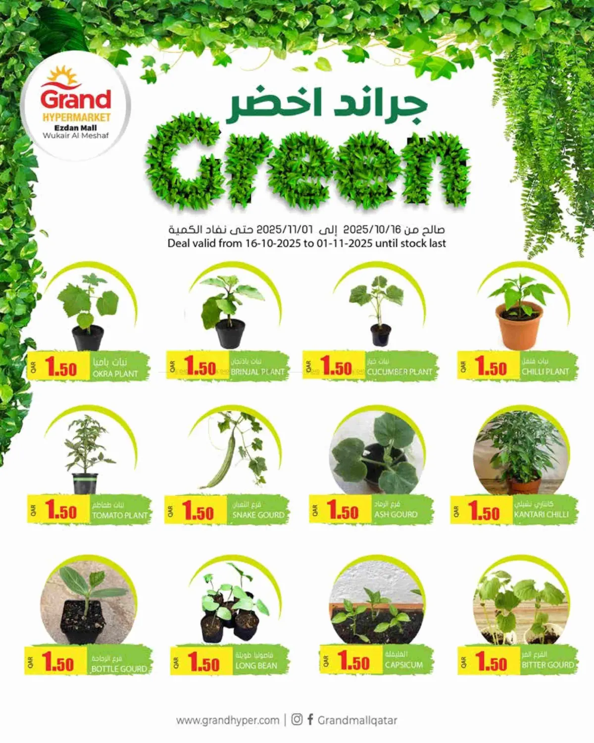 صفحة رقم 2 من Grand Green @ Ezdan Mall في جراند هايبرماركت