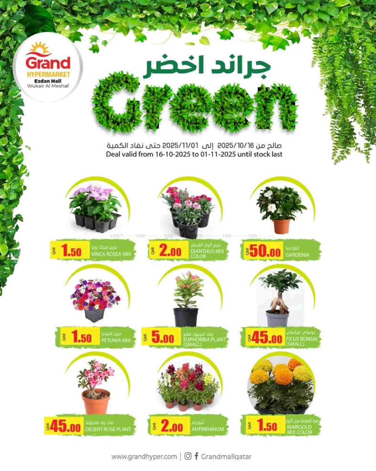 صفحة رقم 7 من Grand Green @ Ezdan Mall في جراند هايبرماركت