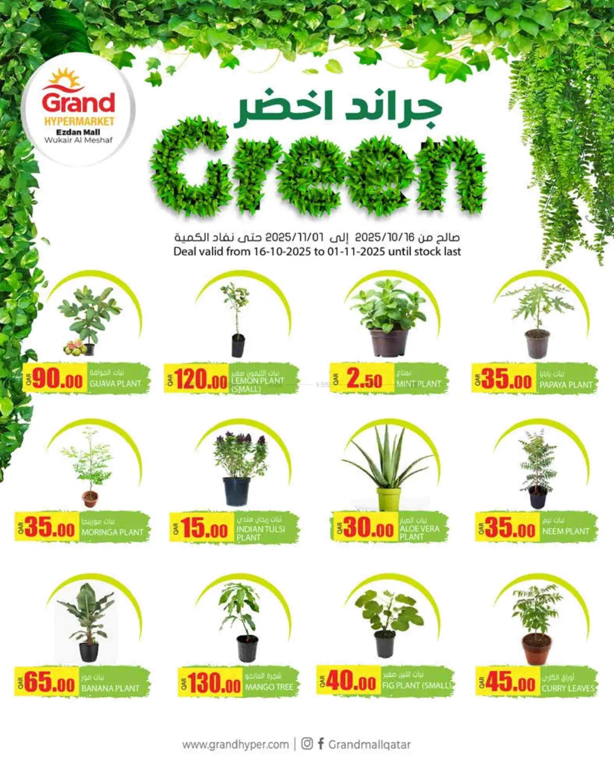 صفحة رقم 3 من Grand Green @ Ezdan Mall في جراند هايبرماركت