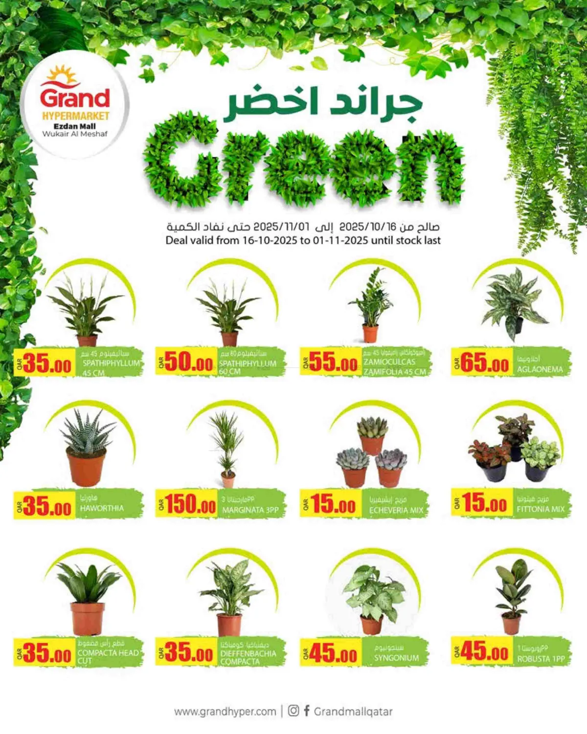 صفحة رقم 5 من Grand Green @ Ezdan Mall في جراند هايبرماركت