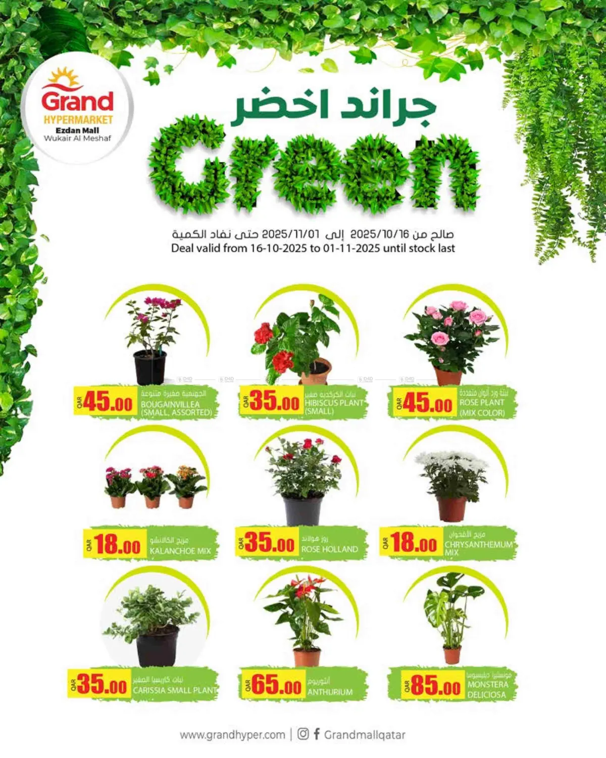 صفحة رقم 8 من Grand Green @ Ezdan Mall في جراند هايبرماركت
