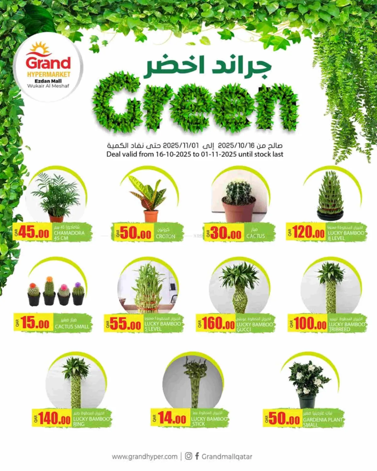 صفحة رقم 6 من Grand Green @ Ezdan Mall في جراند هايبرماركت