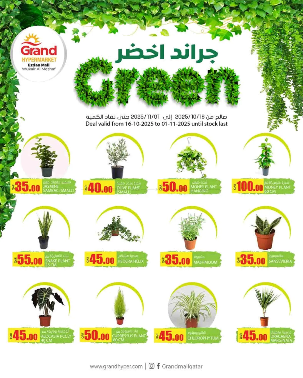 صفحة رقم 4 من Grand Green @ Ezdan Mall في جراند هايبرماركت