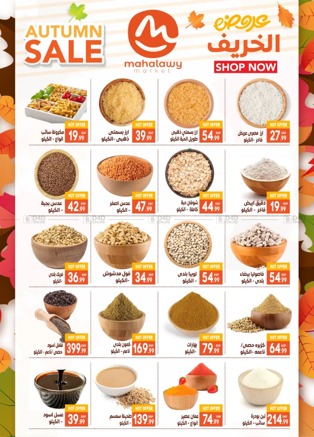 صفحة رقم 10 من Hello Autumn في أولاد المحاوى