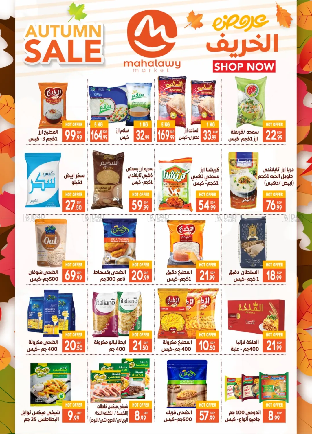 صفحة رقم 16 من Hello Autumn في أولاد المحاوى