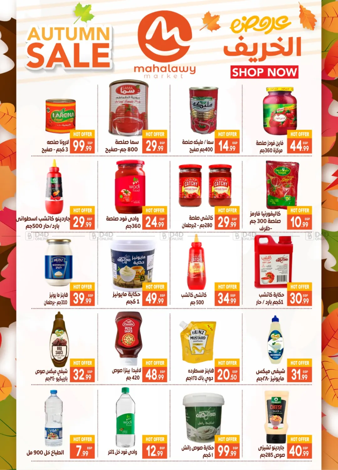 صفحة رقم 18 من Hello Autumn في أولاد المحاوى