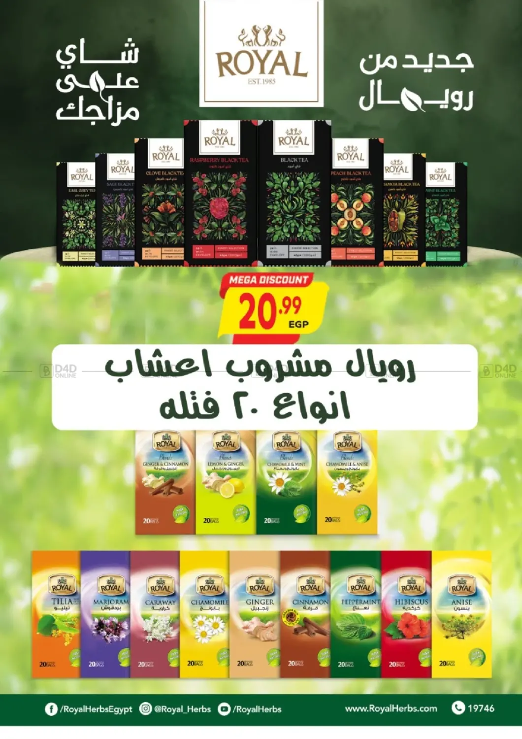 صفحة رقم 29 من Special Offer في سوبر ماركت الحسينى