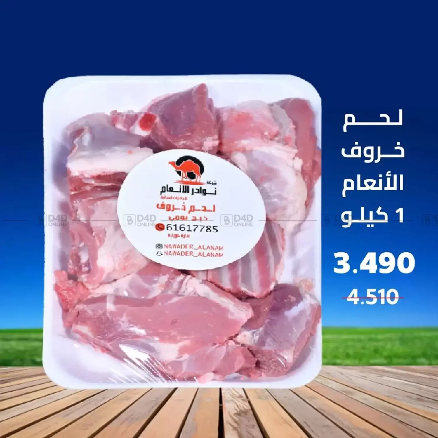 صفحة رقم 15 من Special Offer في جمعية اشبيلية التعاونية