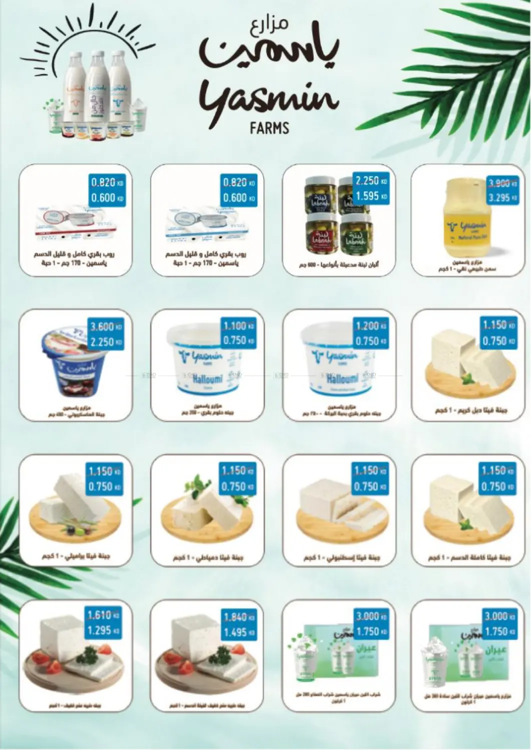 صفحة رقم 51 من Special Offer في جمعية الجابريه التعاونيه