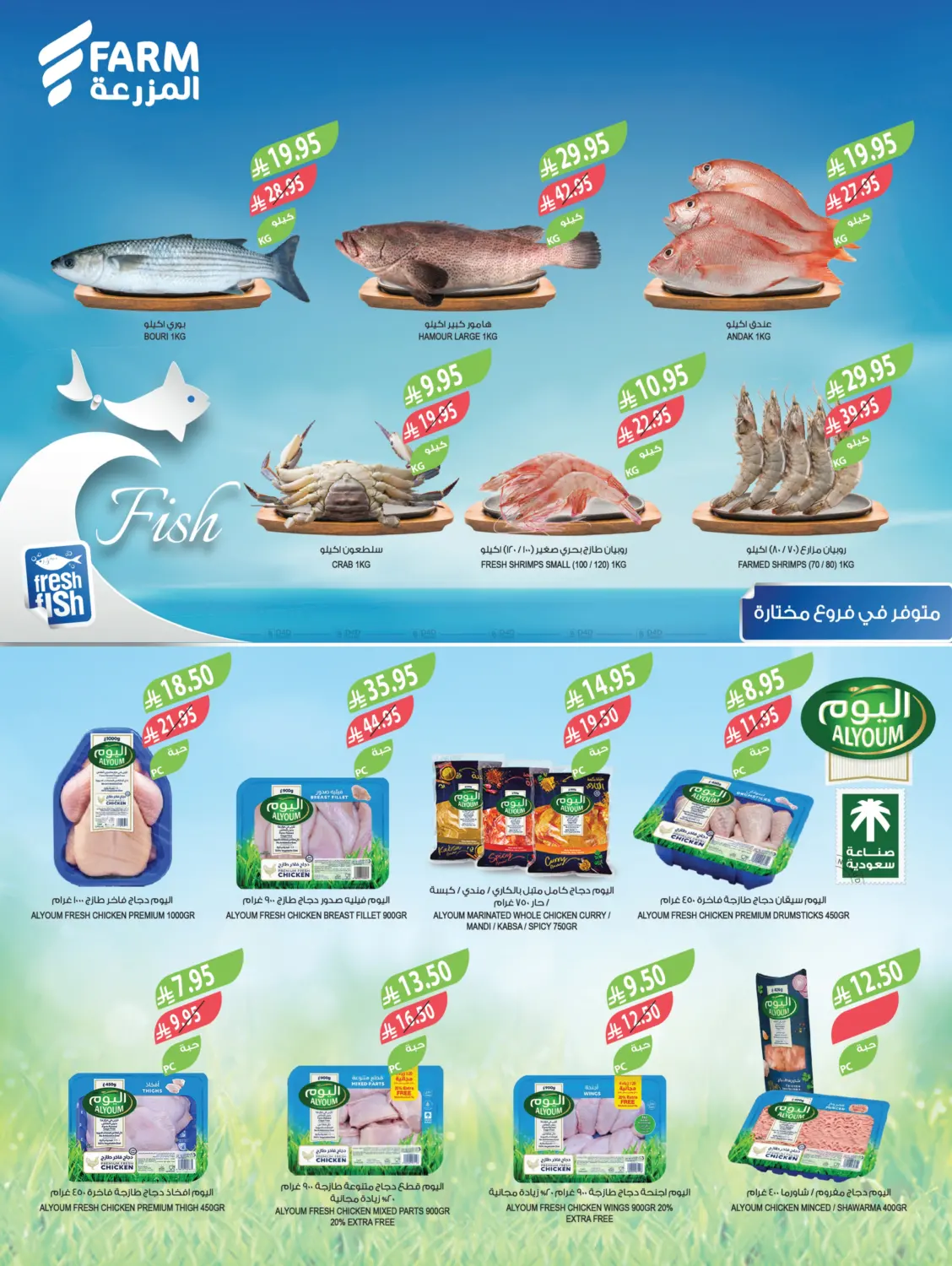 صفحة رقم 7 من مهرجان الميجا في المزرعة