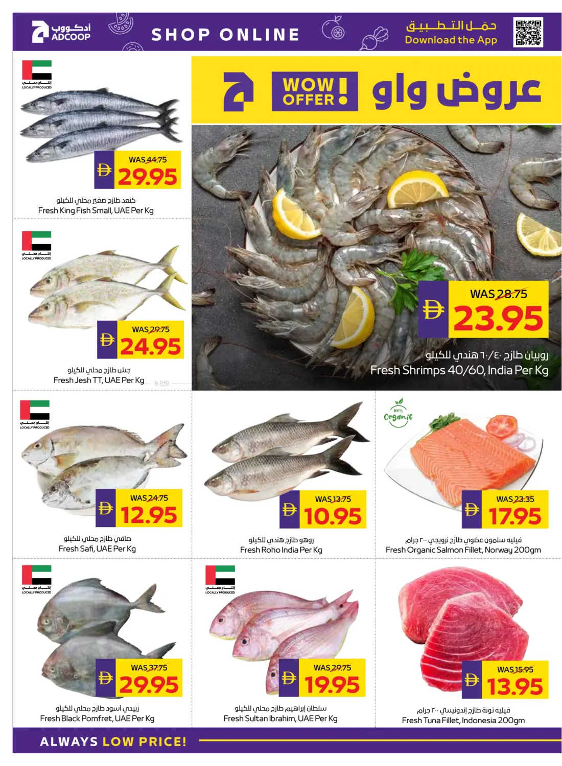 صفحة رقم 4 من عروض الصحة والجمال في أدكووب