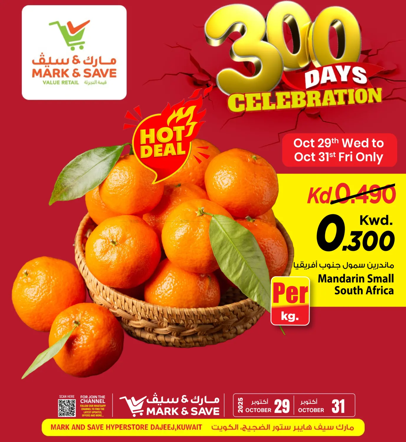 صفحة رقم 17 من ٣٠٠ يوم من الاحتفالات في مارك & سايف