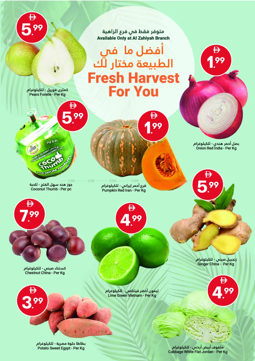 صفحة رقم 2 من Fresh Savers في جراند الإمارات للتسوق