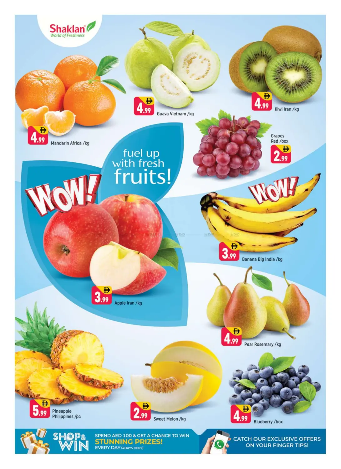 صفحة رقم 3 من R-09 France Cluster International City في شكلان ماركت