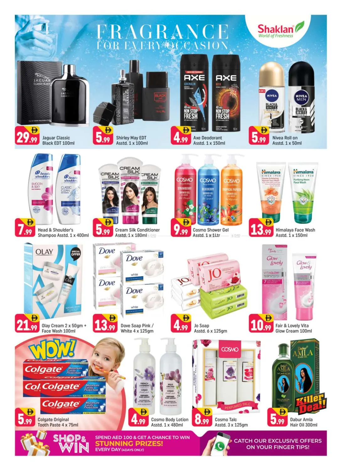 صفحة رقم 15 من R-09 France Cluster International City في شكلان ماركت