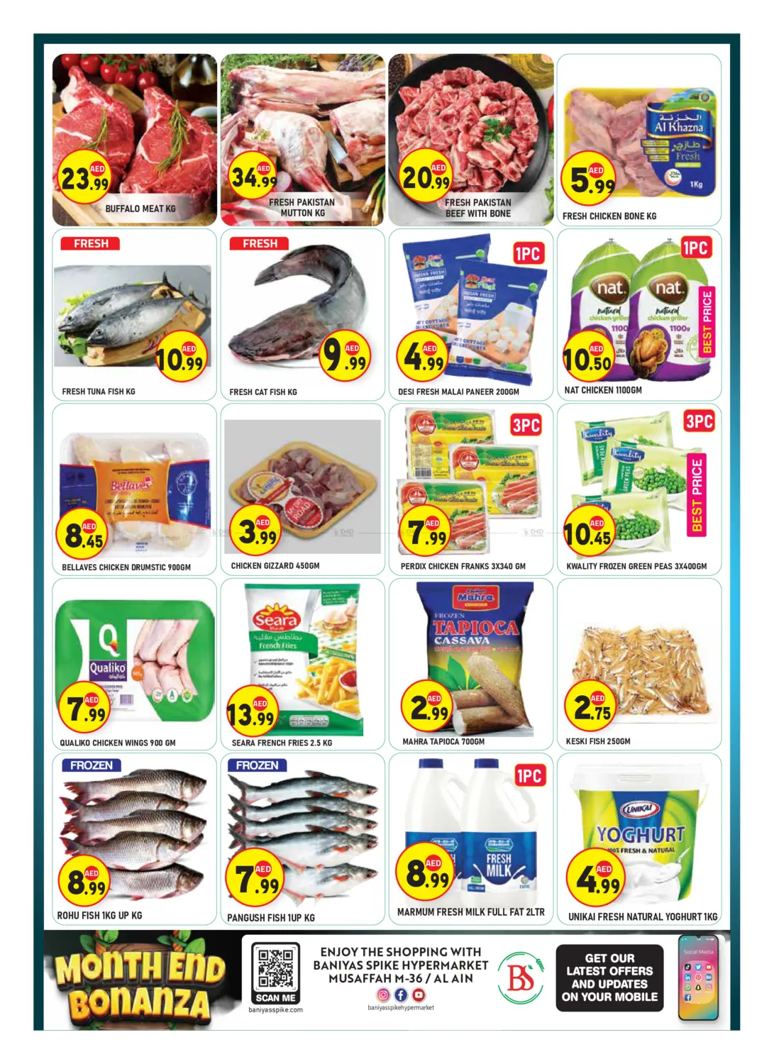 صفحة رقم 3 من Al Ain & I CAD 36 في سنابل بني ياس