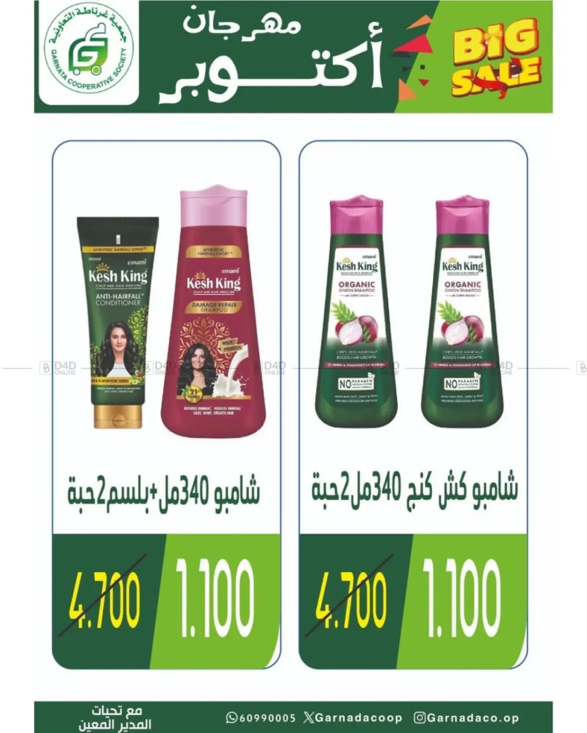 صفحة رقم 2 من مهرجان أكتوبر في جمعية غرناطة التعاونية