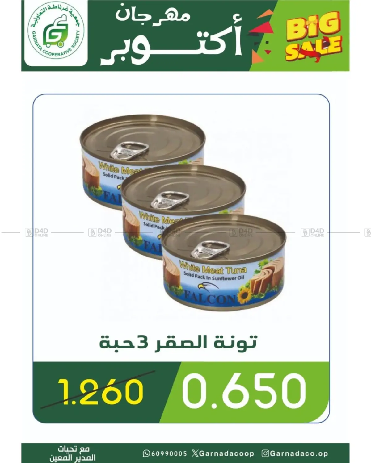 صفحة رقم 28 من مهرجان أكتوبر في جمعية غرناطة التعاونية