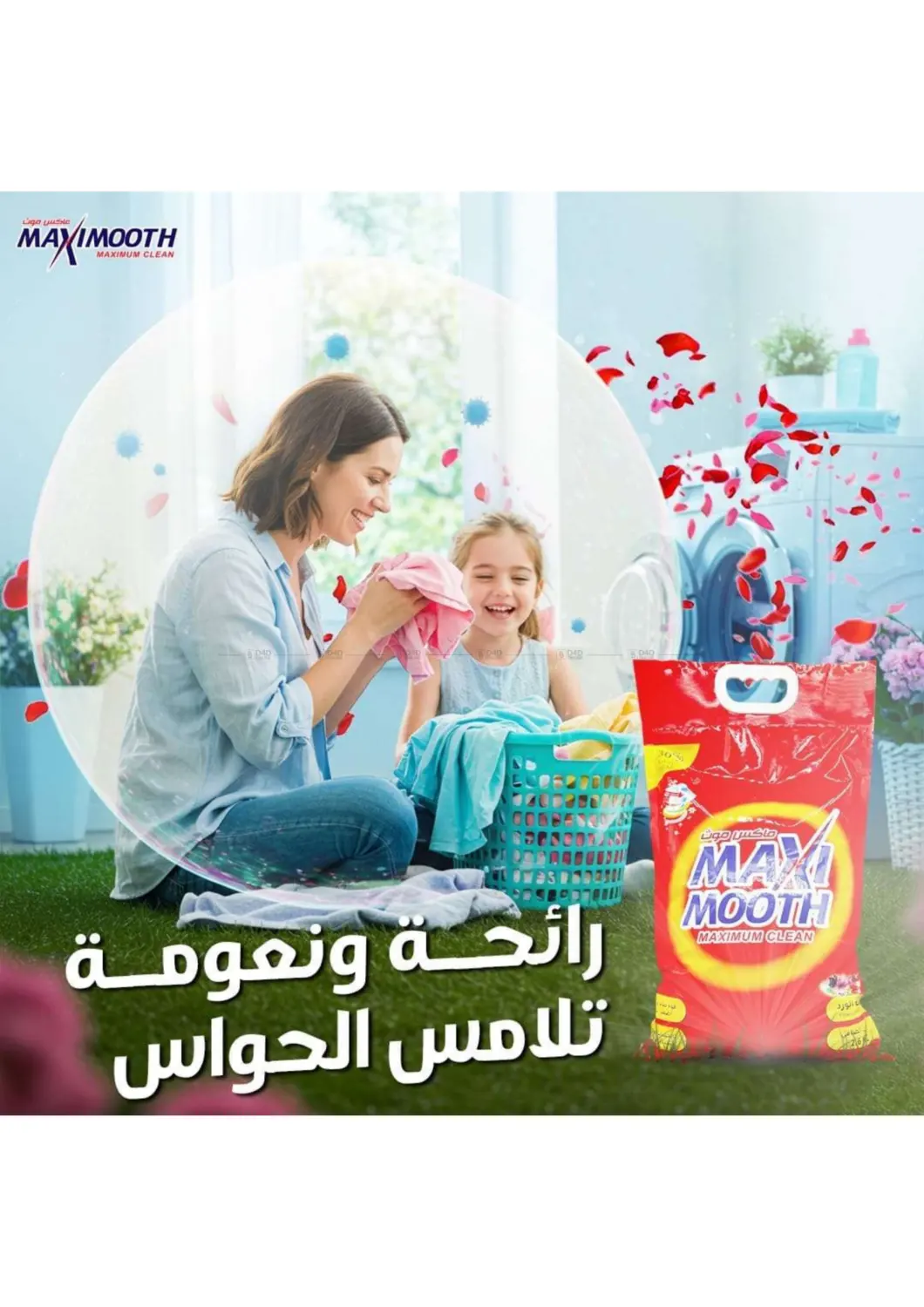 صفحة رقم 46 من كشته في شركة سوق ميم المركزي